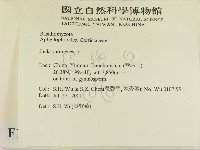 傑克菌屬藏品圖，第2張