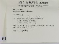 絲皮菌屬藏品圖，第2張