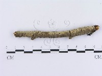 登錄號:F0013534藏品圖，第1張