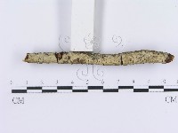 登錄號:F0013534藏品圖，第3張