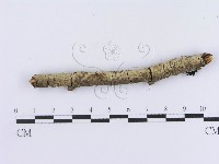 登錄號:F0013534藏品圖，第6張