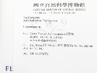 登錄號:F0013535藏品圖，第2張