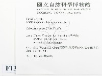 登錄號:F0013538藏品圖，第2張