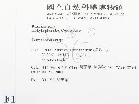 登錄號:F0013539藏品圖，第2張