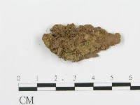 登錄號:F0013539藏品圖，第4張