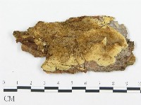 登錄號:F0013540藏品圖，第1張