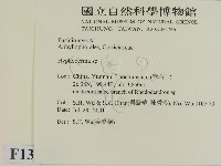 絲皮菌屬藏品圖，第2張