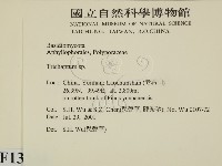 附毛菌屬藏品圖，第2張