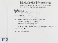 登錄號:F0013545藏品圖，第2張