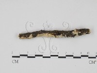 登錄號:F0013546藏品圖，第3張