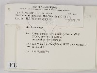 登錄號:F0013547藏品圖，第2張