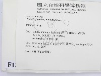 筍殼菌屬藏品圖，第2張