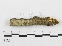 登錄號:F0013550藏品圖，第1張