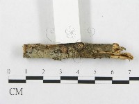 登錄號:F0013550藏品圖，第3張