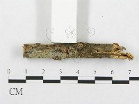 登錄號:F0013550藏品圖，第4張