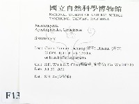 登錄號:F0013553藏品圖，第2張