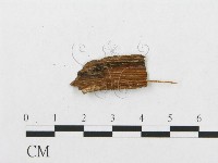 登錄號:F0013553藏品圖，第3張