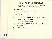 花耳屬藏品圖，第2張