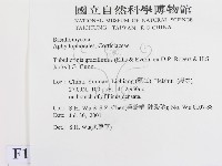 登錄號:F0013555藏品圖，第2張