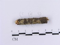 登錄號:F0013555藏品圖，第3張