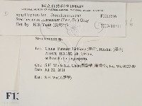 登錄號:F0013556藏品圖，第2張