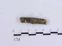 登錄號:F0013556藏品圖，第1張