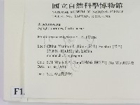 剛毛絲皮菌藏品圖，第2張