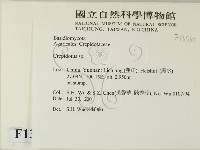 登錄號:F0013560藏品圖，第2張