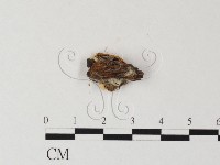 登錄號:F0013560藏品圖，第3張