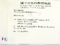 花耳屬藏品圖，第2張