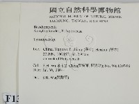 登錄號:F0013562藏品圖，第2張