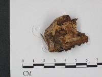 登錄號:F0013562藏品圖，第3張