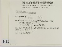 絲皮菌屬藏品圖，第2張