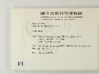 登錄號:F0013569藏品圖，第2張