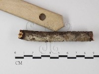 登錄號:F0013569藏品圖，第3張