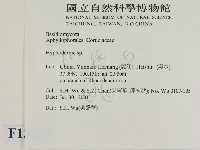 絲皮菌屬藏品圖，第2張