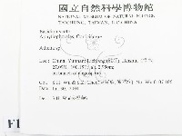 阿太菌屬藏品圖，第2張