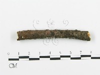 阿太菌屬藏品圖，第4張