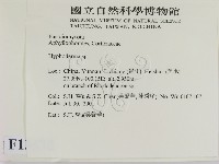絲皮菌屬藏品圖，第2張