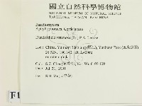 登錄號:F0013574藏品圖，第2張