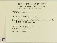 登錄號:F0013575藏品圖，第2張