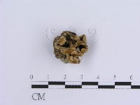 登錄號:F0013576藏品圖，第1張