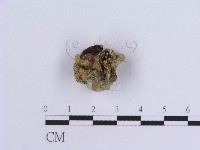 登錄號:F0013576藏品圖，第3張