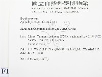 登錄號:F0013577藏品圖，第2張