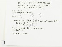 射脈菌屬藏品圖，第2張