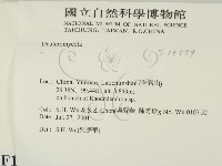 登錄號:F0013579藏品圖，第2張