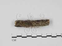 登錄號:F0013579藏品圖，第3張