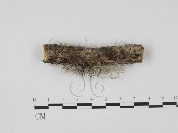 登錄號:F0013579藏品圖，第4張