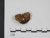 登錄號:F0013580藏品圖，第3張