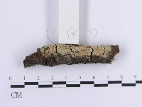 登錄號:F0013581藏品圖，第4張